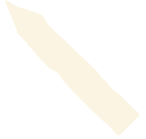 Videografie